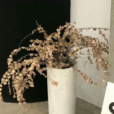 兽设原创设计欣赏福瑞群